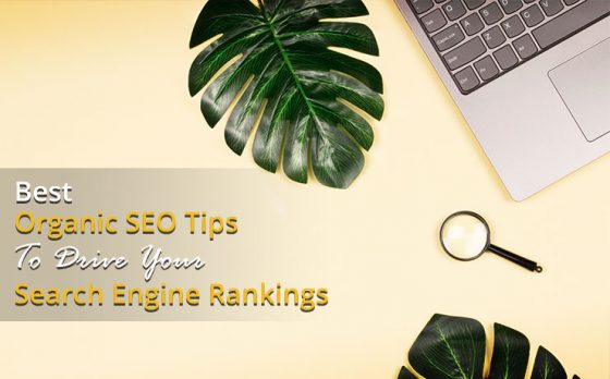 Best Organic SEO Tips To Drive Your Search Engine Rankings - SmartSites