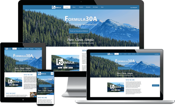 Formula30A Email & SMS Marketing Medical & Healthcare