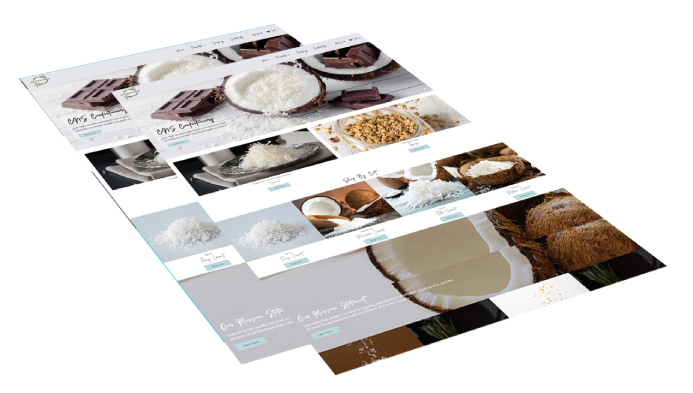 CNS Confectionery Products Shopify Website